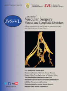 Journal of Vascular Surgery