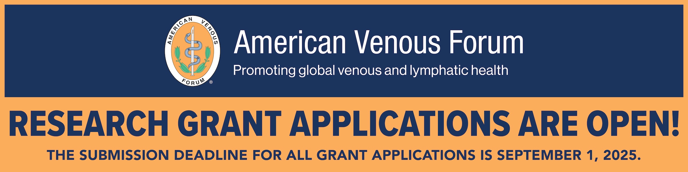 2025-Vein-Lymphatic-Summit