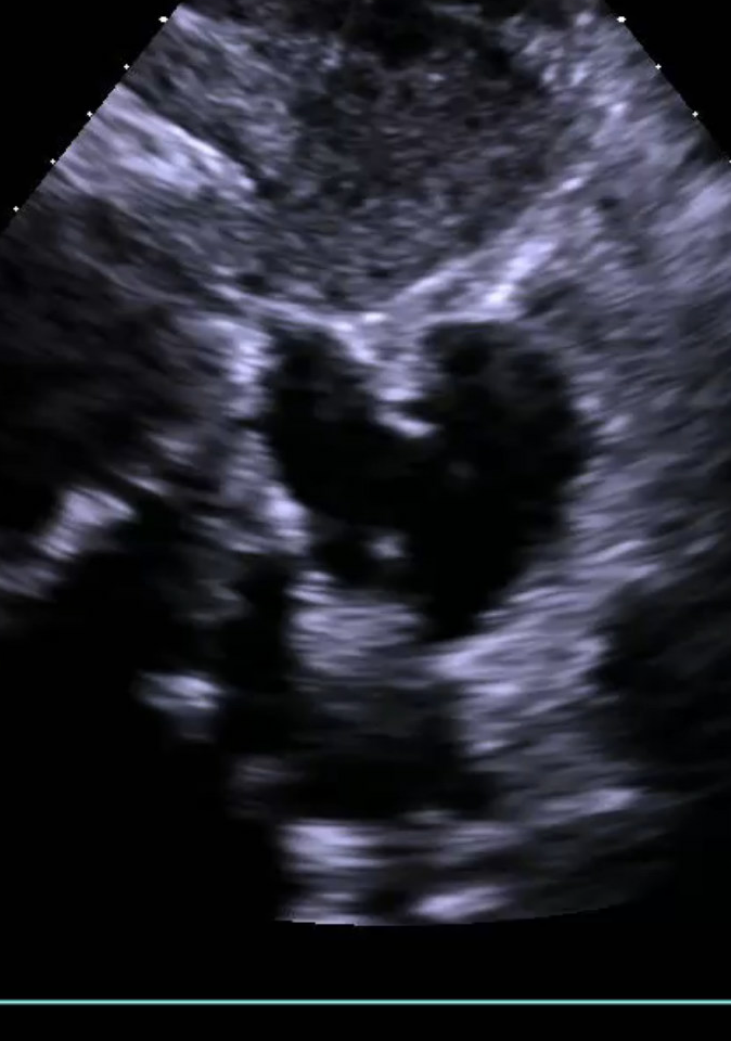 Newsletter image