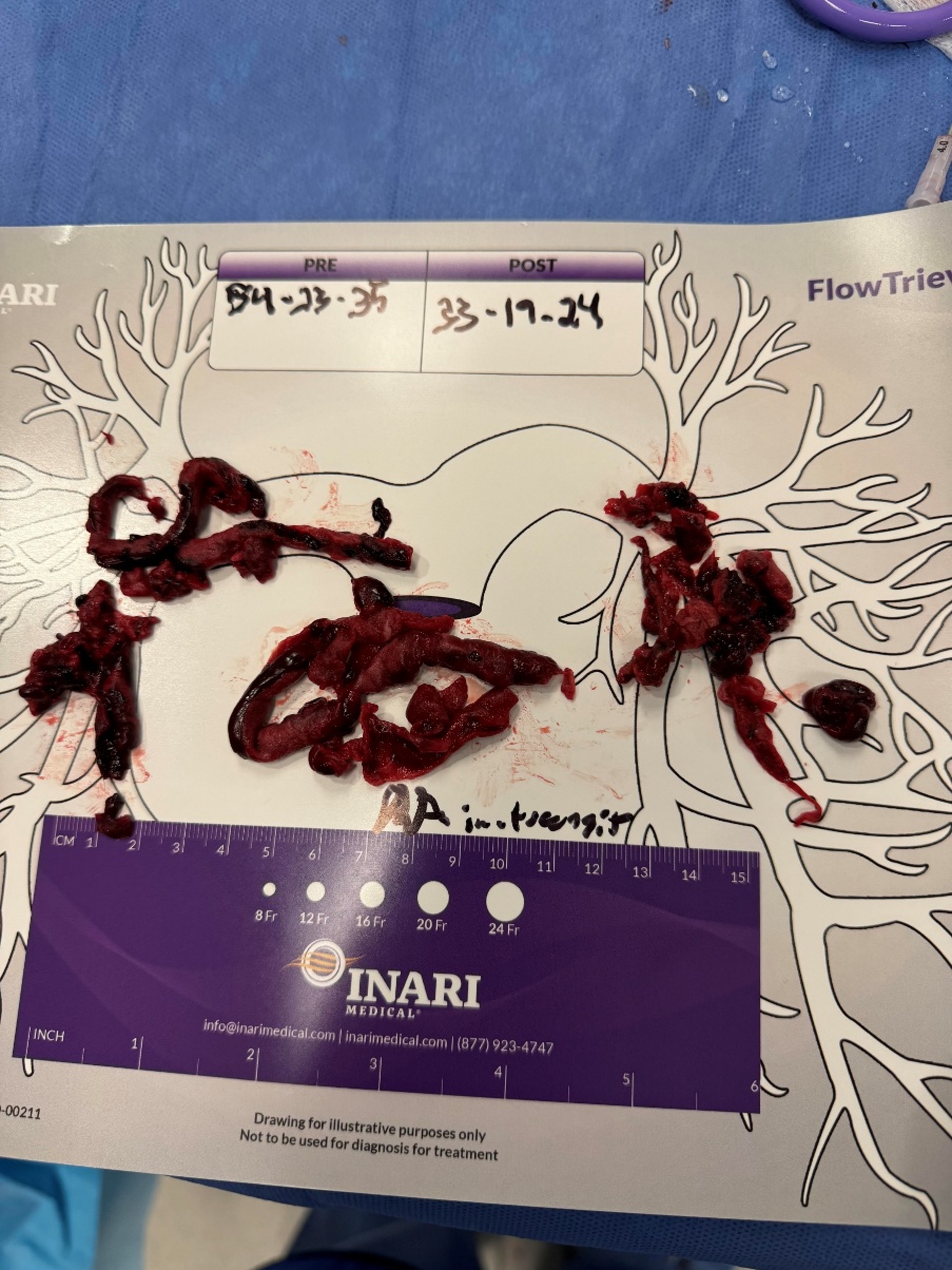 Newsletter image