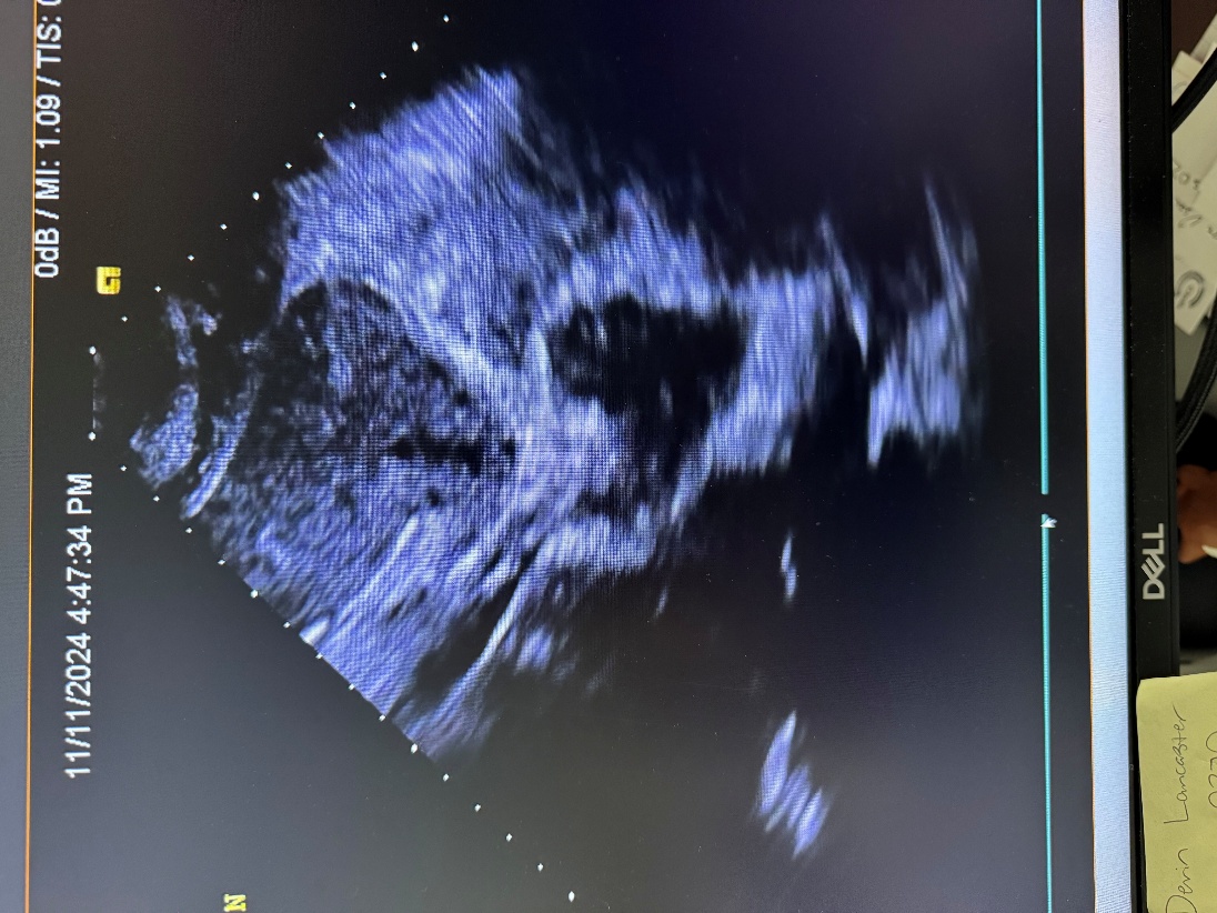 Newsletter image